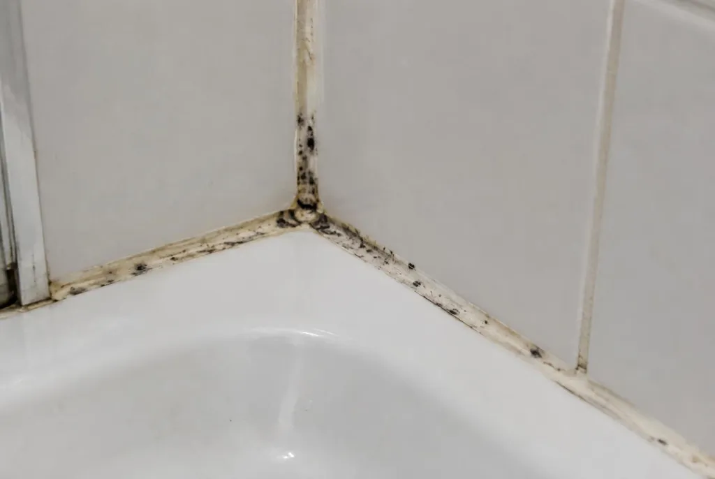 Kitbedrijf Uithoorn – beschimmelde kitranden